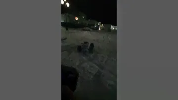 радиоуправляемая машина x maxx, traxxas, xmaxx sledding, rc
